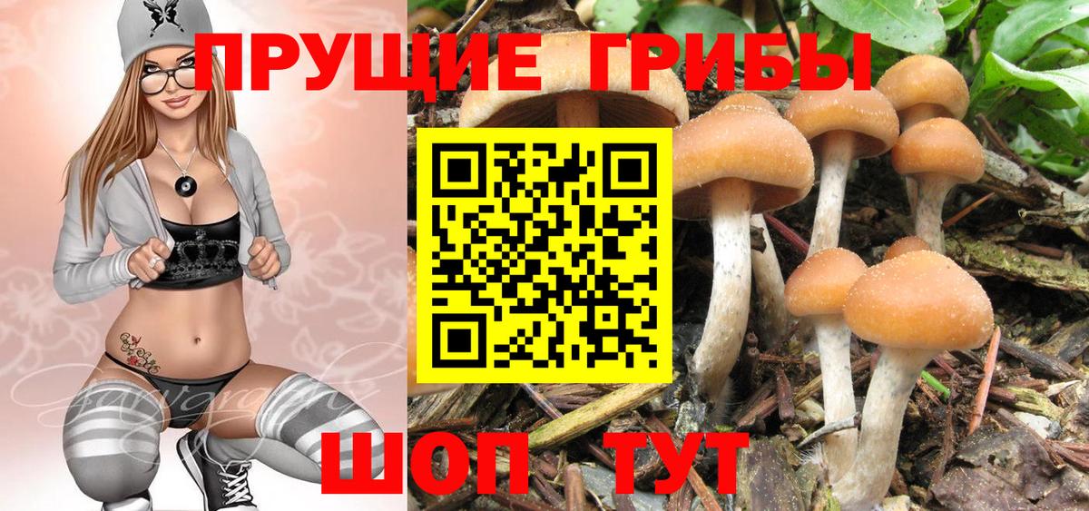 Галлюциногенные грибы Cubensis Верхний Уфалей
